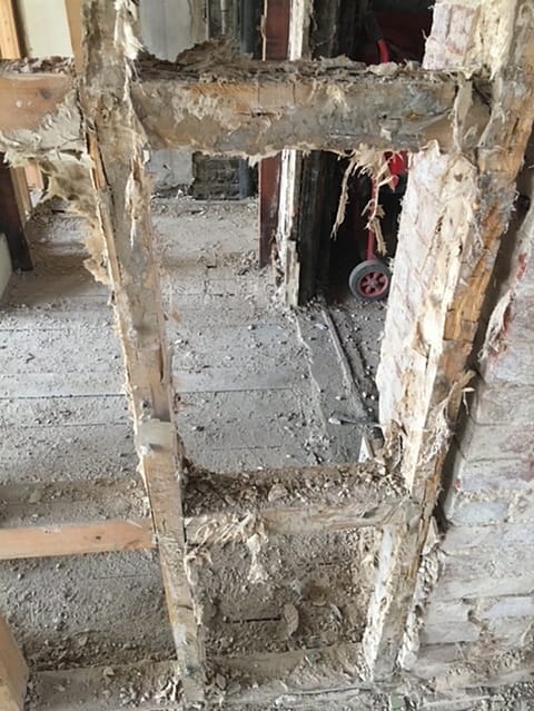 advance-dry-wet-rot-4