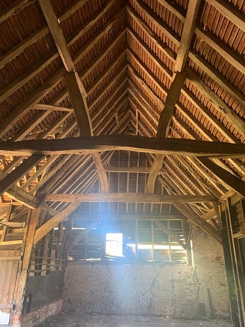 advance-timber-infestation-3